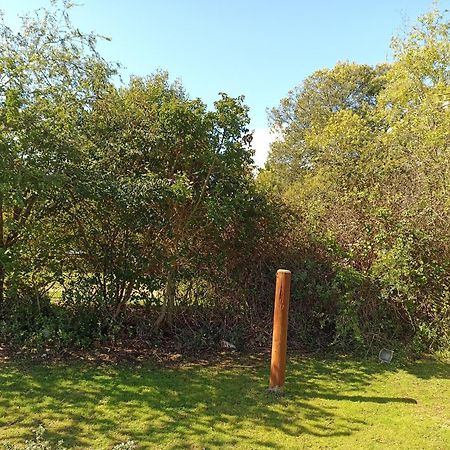 El Algarrobo Konuk evi Dış mekan fotoğraf