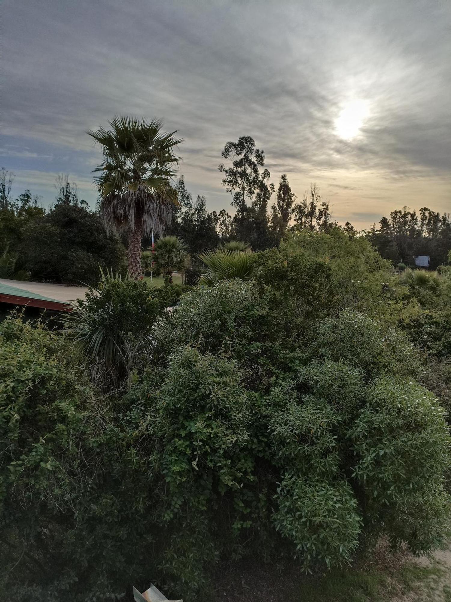 El Algarrobo Dış mekan fotoğraf