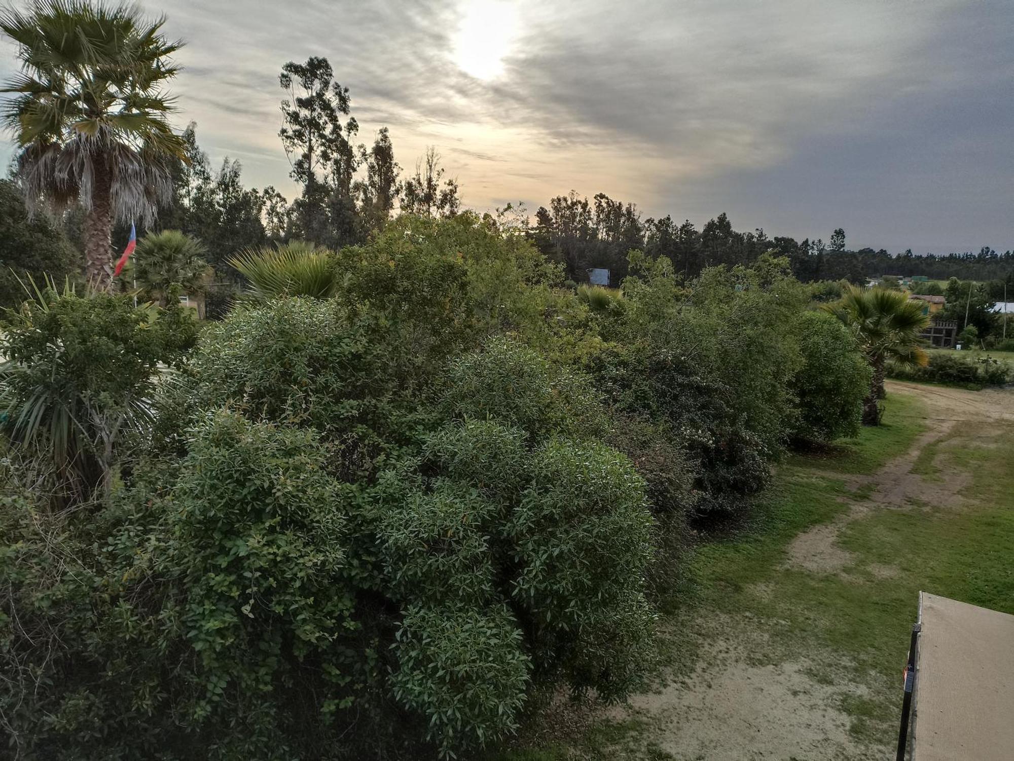 El Algarrobo Dış mekan fotoğraf