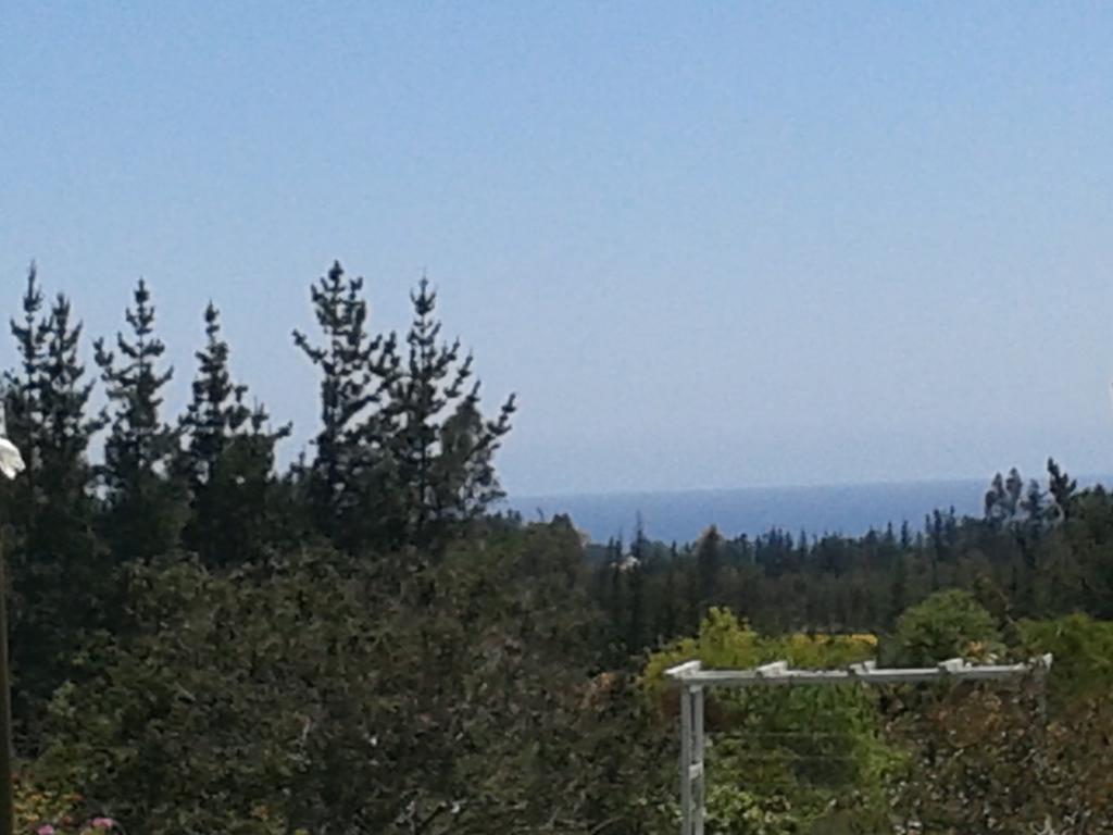 El Algarrobo Dış mekan fotoğraf