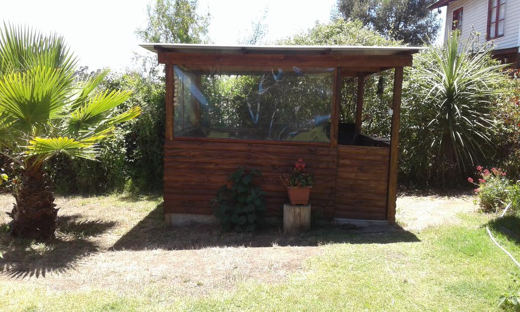 El Algarrobo Dış mekan fotoğraf