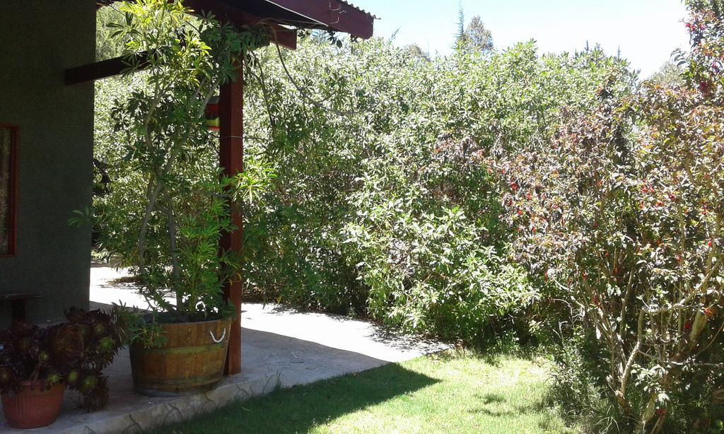 El Algarrobo Konuk evi Dış mekan fotoğraf