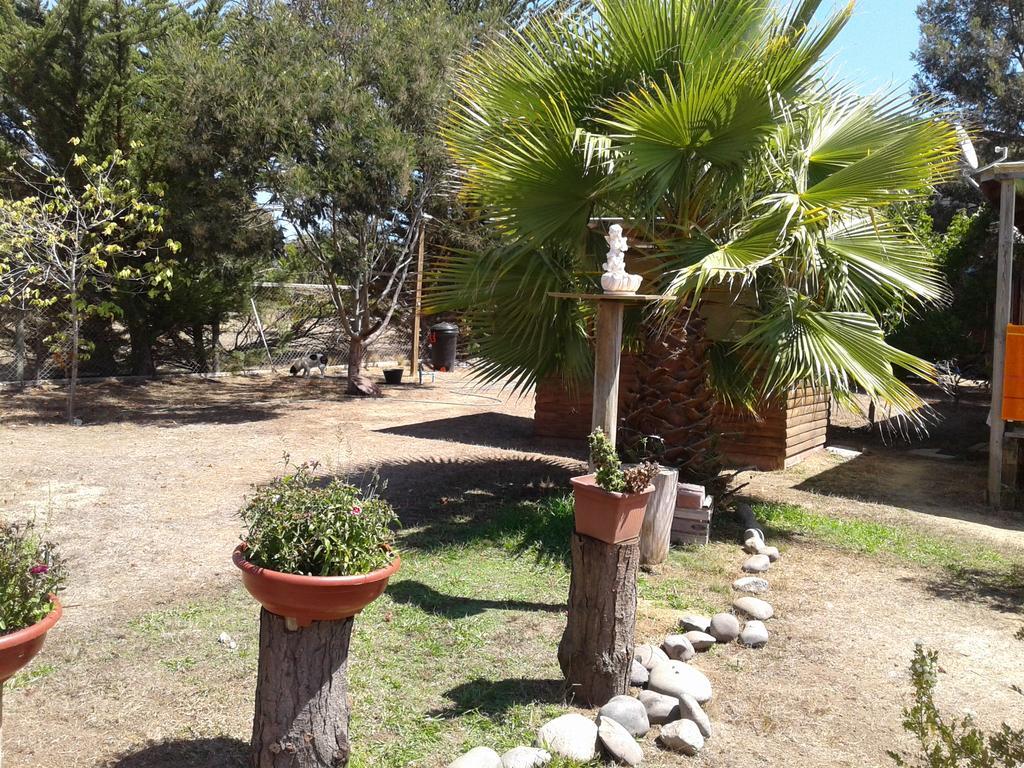 El Algarrobo Dış mekan fotoğraf