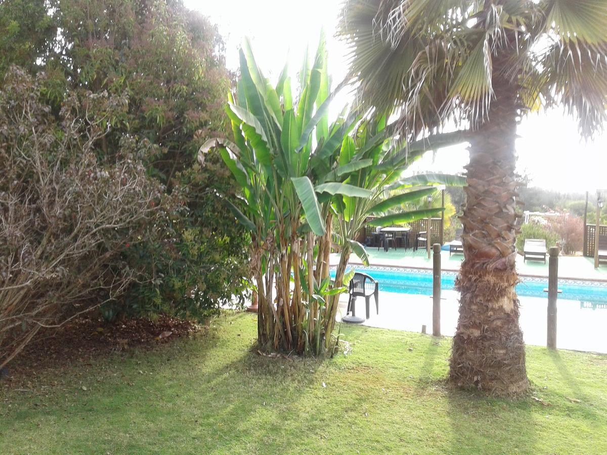 El Algarrobo Dış mekan fotoğraf